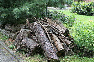 alter Holzstapel in unserem Garten